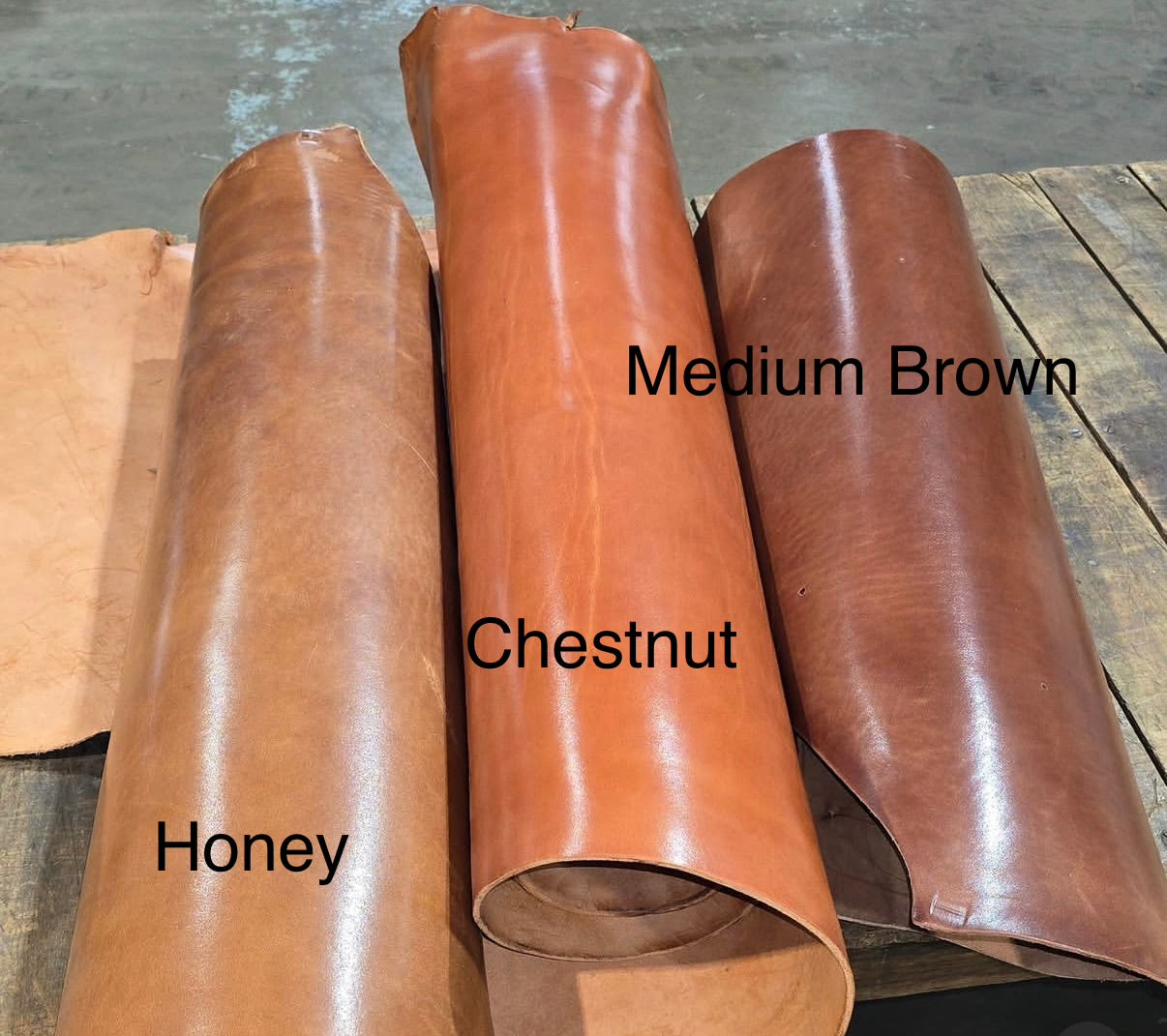 Traveler's Notebook, Chestnut, Coming Soon June 8